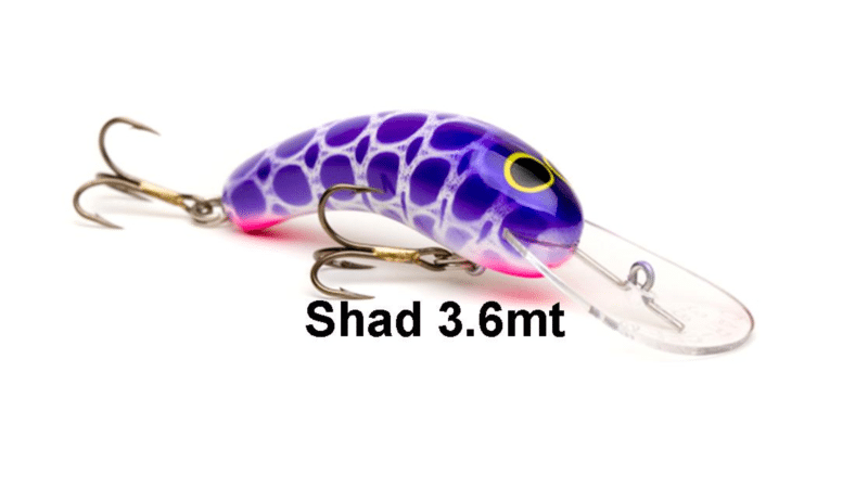 Shad - Oar-Gee Lures